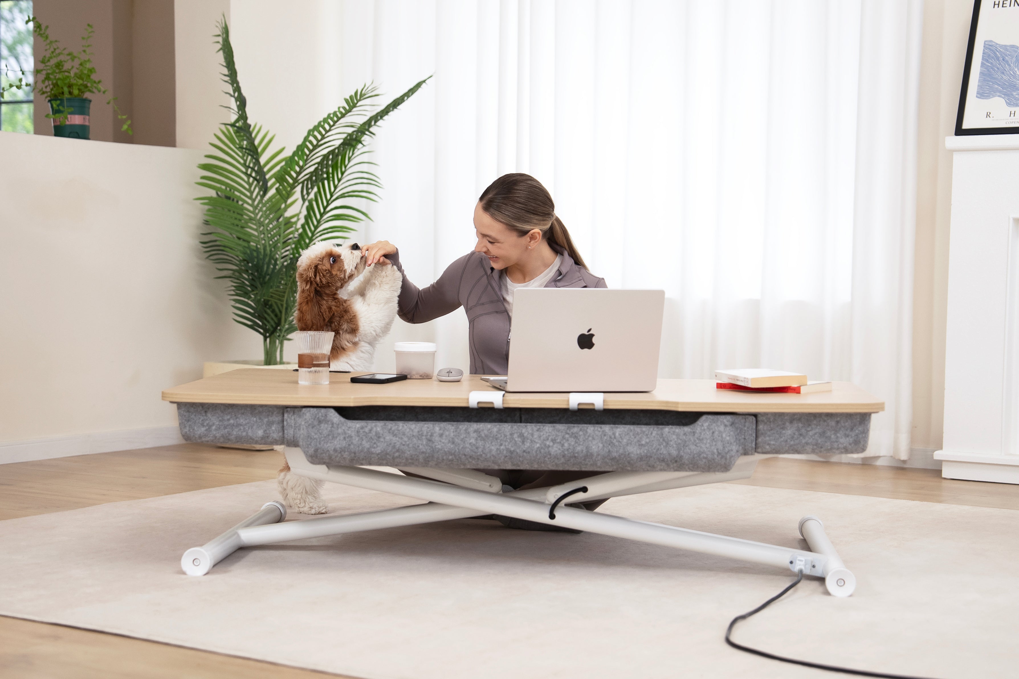 Elevate Your Workspace and Well-Being