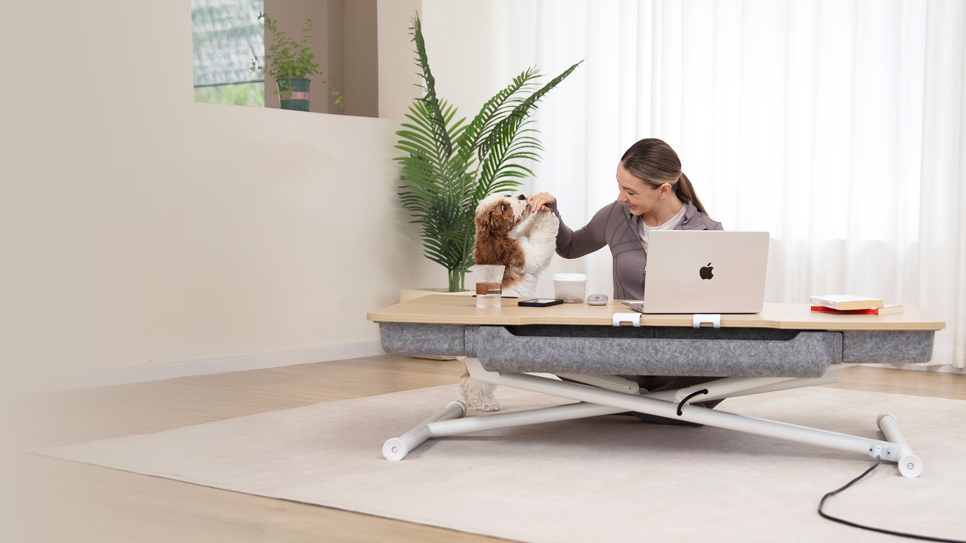 woman sitting in front of a standing desk feeding dog