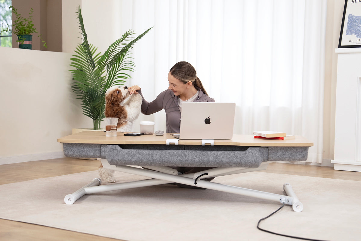 woman sitting in front of a standing desk feeding dog