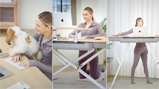 Flow Floor-to-Standing Desk
